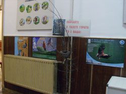 25-������ ������������� ����� � ���� ������